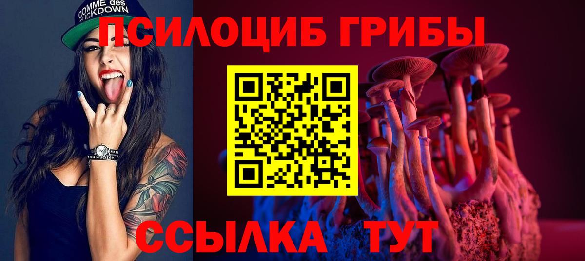 Галлюциногенные грибы прущие грибы Тавда